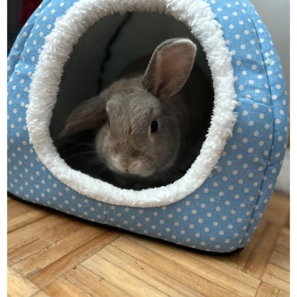 New Rabbit Hideout Large Washable Bunny Bed & Fleece House for Small Pets - Picture 3 of 9